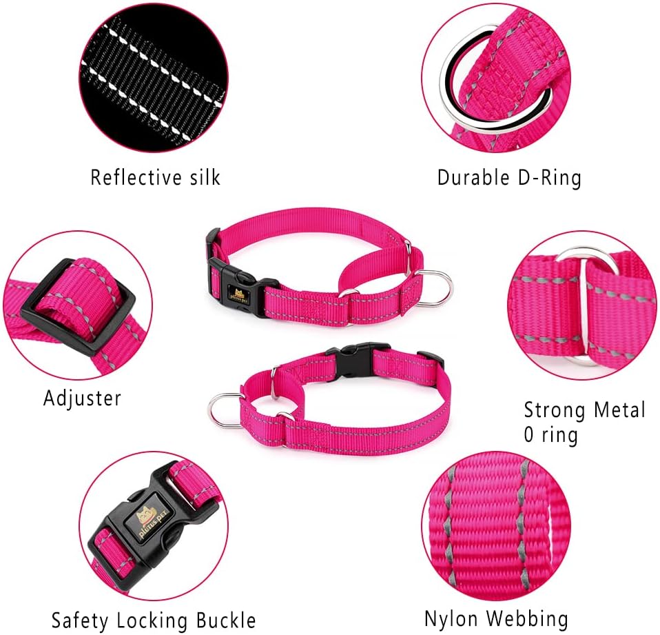 Close up of the high visibility reflective stitching on the PLUTUS PET medium collar