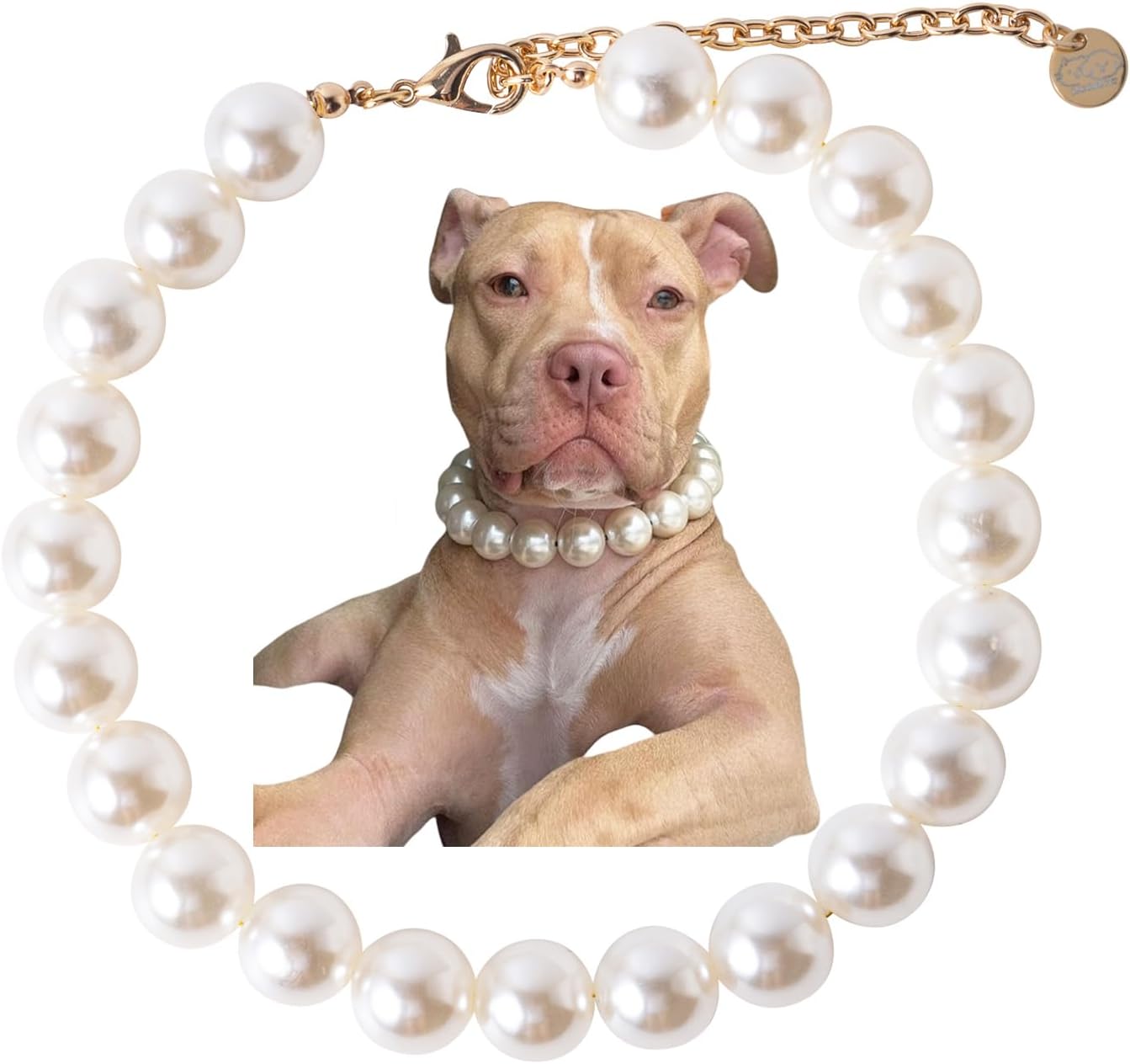 Pearl Collar Beaded Dog Collar Necklace Coloful Beads Adjustable Rhinestone Jewelry Pet Pearl Collar for Small, Medium/Large Dogs18"+3",Coloful Pearl - Image 12