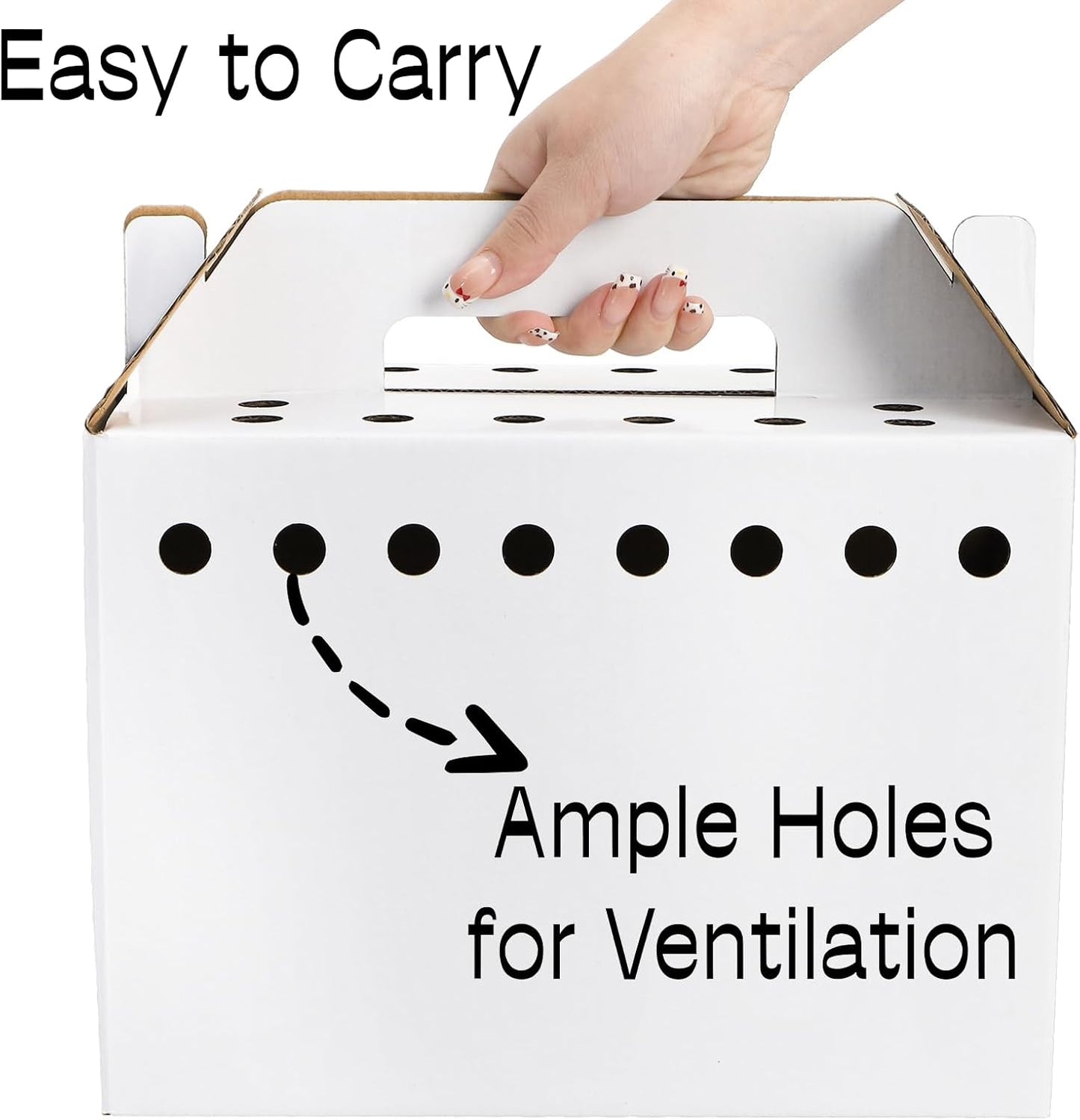 Coloch 20 Pack Cardboard Pet Carrier for Small Pets, 11x8x6 Inches Disposable Pet Transport Box for Pullets, Fowls, Hamsters, Gerbils, Reptiles, Guinea Pigs - Image 3