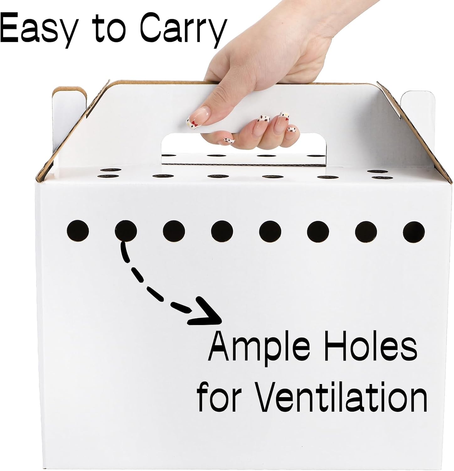 Coloch 20 Pack Cardboard Pet Carrier for Small Pets, 11x8x6 Inches Disposable Pet Transport Box for Pullets, Fowls, Hamsters, Gerbils, Reptiles, Guinea Pigs - Image 3