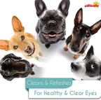 Soothing daily eye drops for pet allergy symptoms and redness