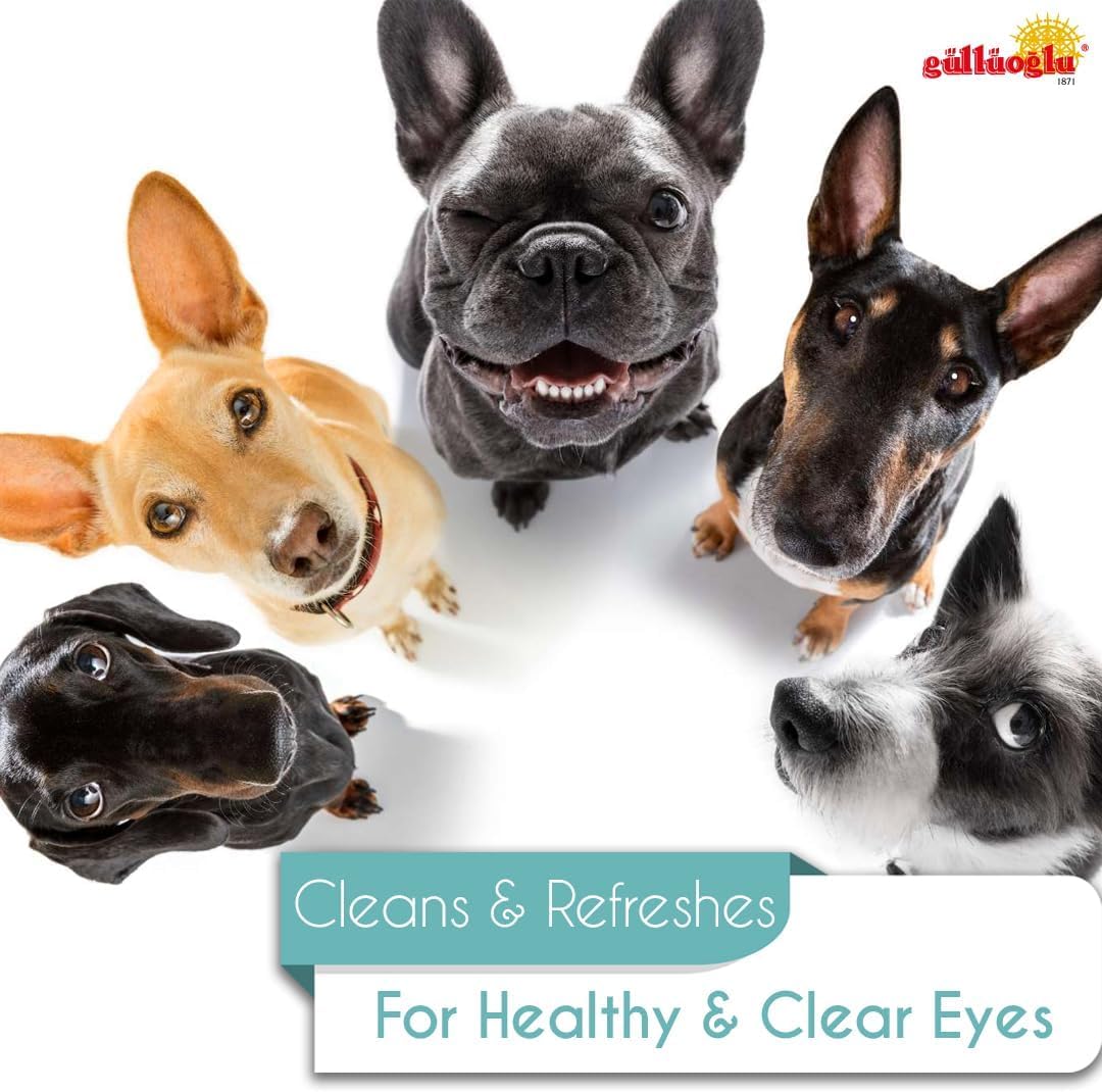 Soothing daily eye drops for pet allergy symptoms and redness