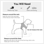 Joytale reflective dog harness high visibility in dark lighting