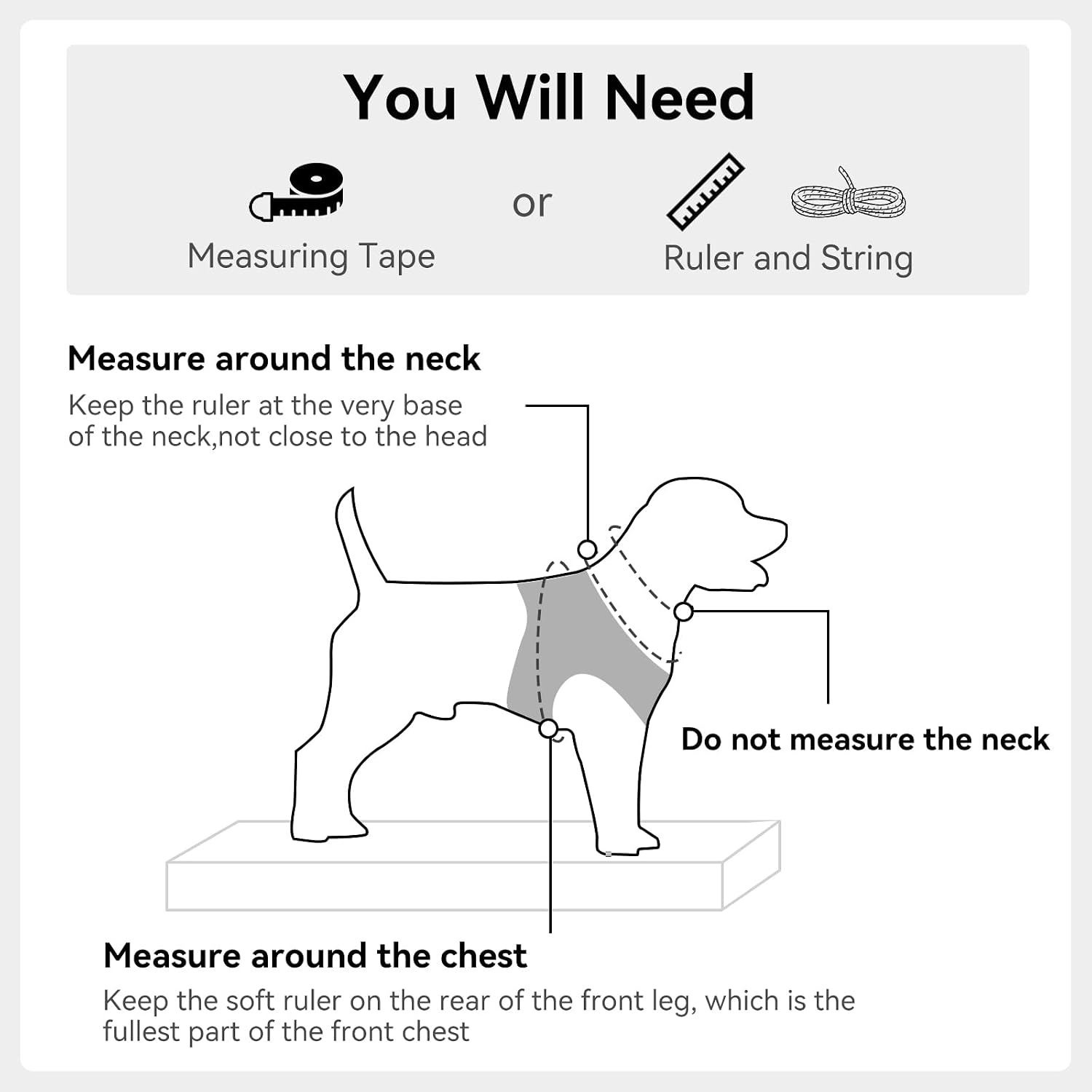 Joytale reflective dog harness high visibility in dark lighting