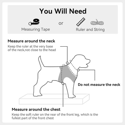 Joytale reflective dog harness high visibility in dark lighting