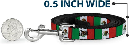 Durable metal snap hook of Buckle-Down dog leash.