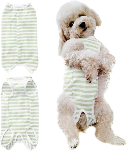 Alternative to medical cone dog recovery shirt on puppy
