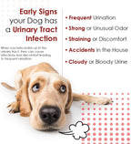 Pet Health Solutions daily urinary tract defense for senior dogs and cats