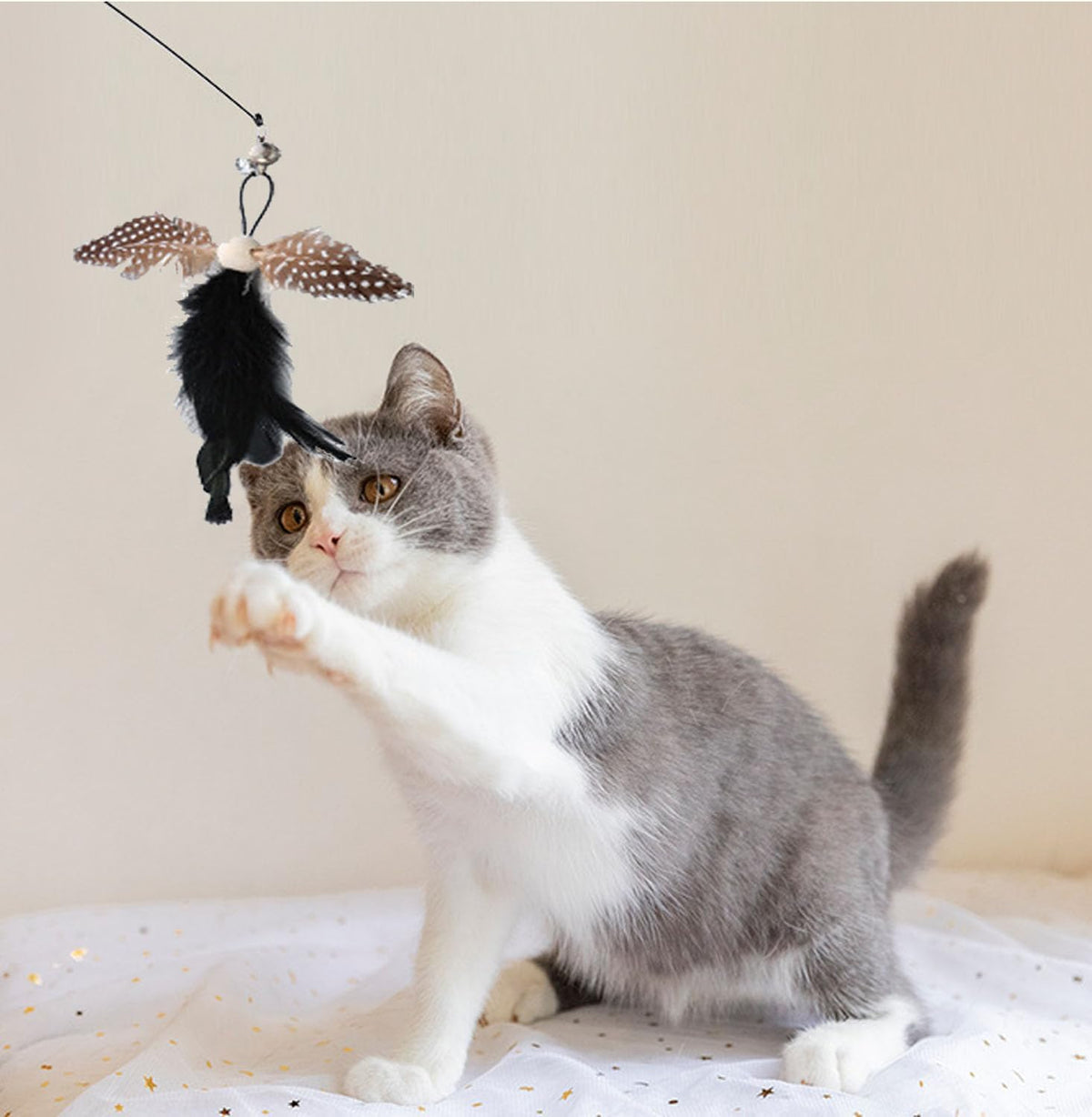 Five unique feather attachments and two wands interactive cat play set
