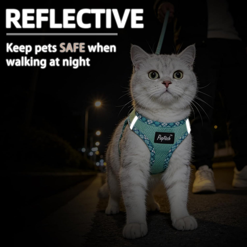 Reflective cat safety vest for night walking with dual D rings