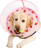 Packaging layout of the Mariyago inflatable pet cone with all its premium components displayed.