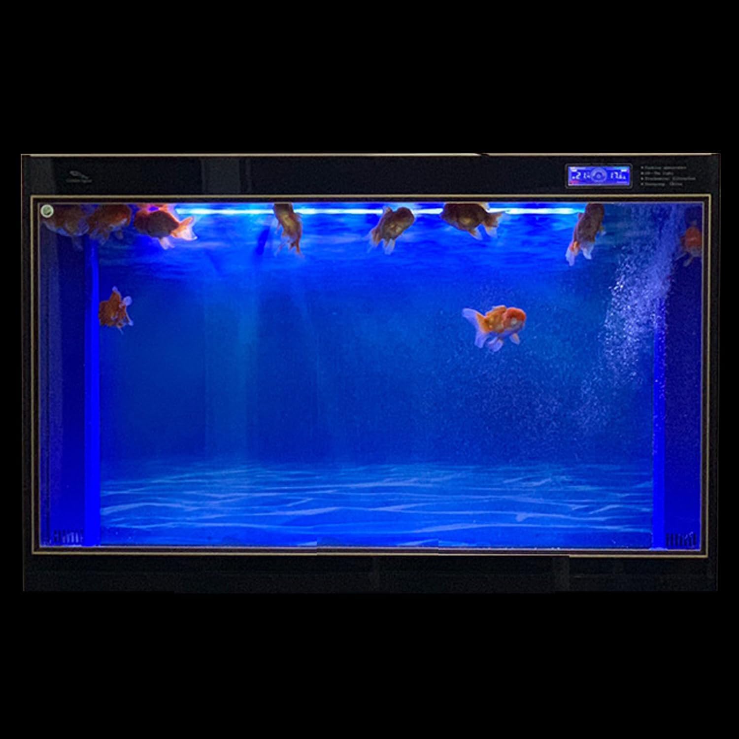 ELEBOX 15.7 by 32.3 inches reversible background sticker highlighting colorful fish and green plants