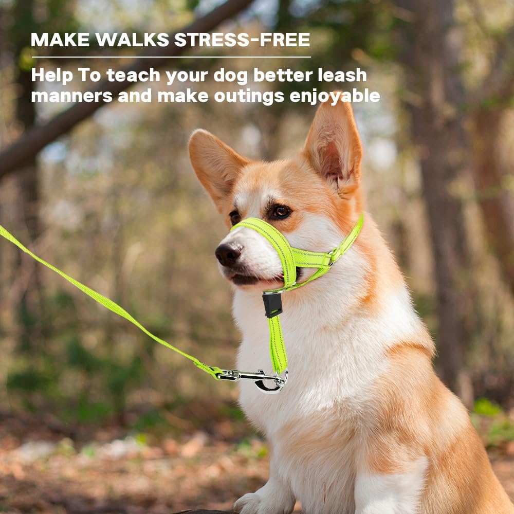 Domiglow nylon dog training halter packaging and sizing guide details