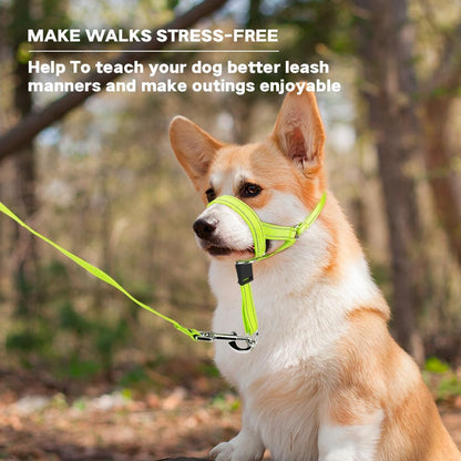Domiglow nylon dog training halter packaging and sizing guide details