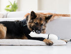 Interchangeable single dog surgical sleeve on front leg