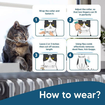 Waterproof flea collar for cats in 2-pack set