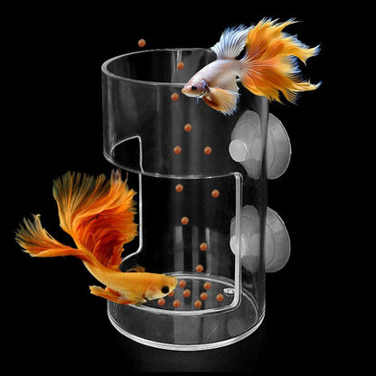 Pack of one blue circular floating fish food feeder ring for home aquariums
