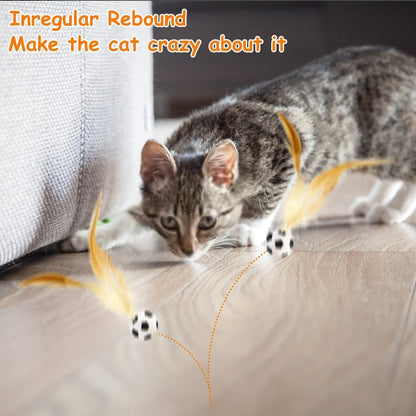 Interactive soccer basketball and baseball themed cat tracking toys in bright colors