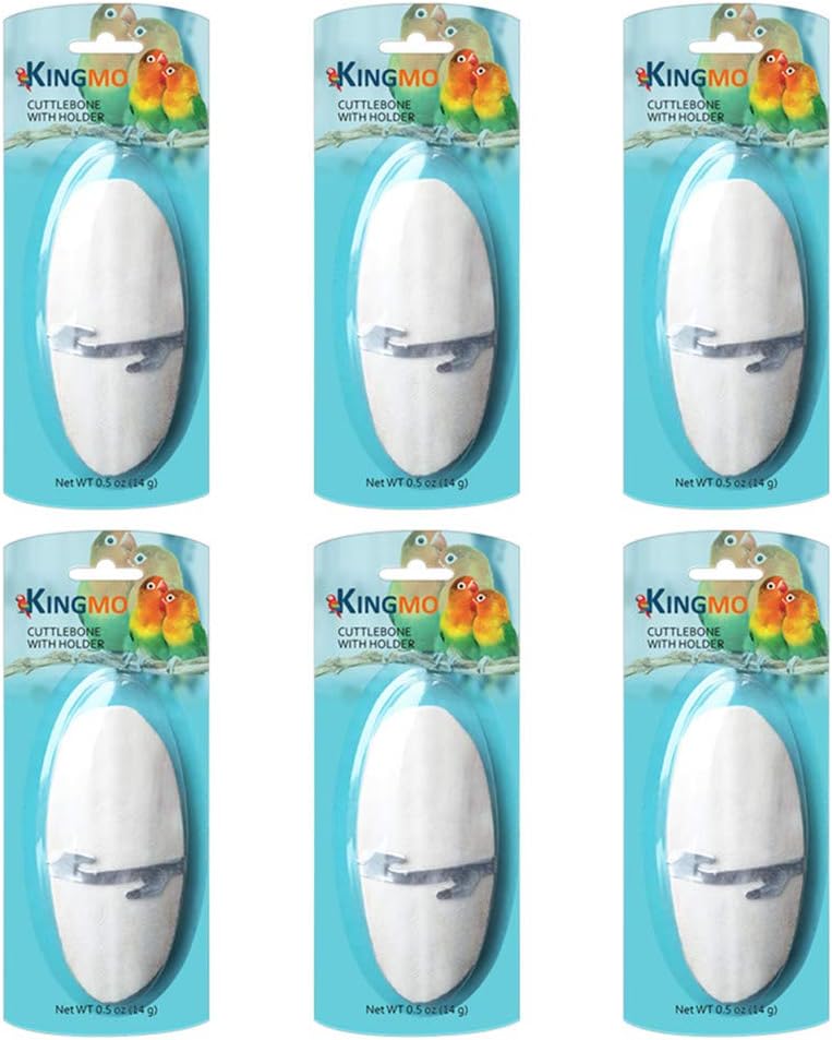 Parakeet interacting with natural cuttlefish bone supplement