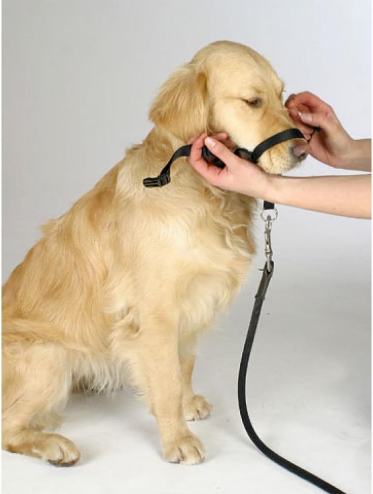 Barkless gentle leader style head halter packaging and training instructions guide