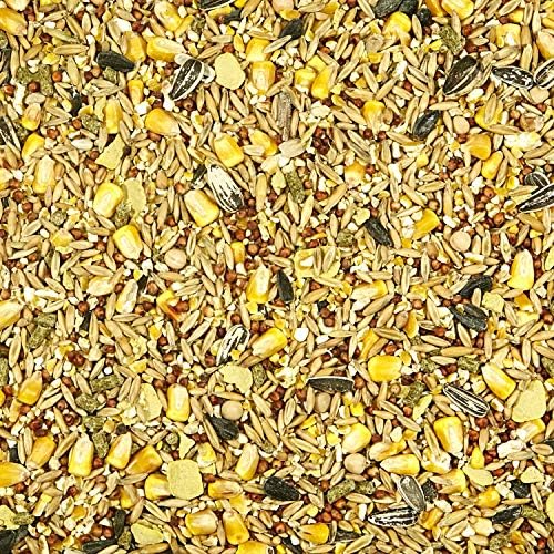 Kaytee premium seed mix container storage view