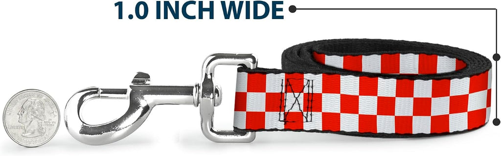 Lifestyle view of the officially licensed Buckle-Down pet accessory ready for daily walks