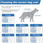 Back view of Sawmong dog coat showing hood and snap closure