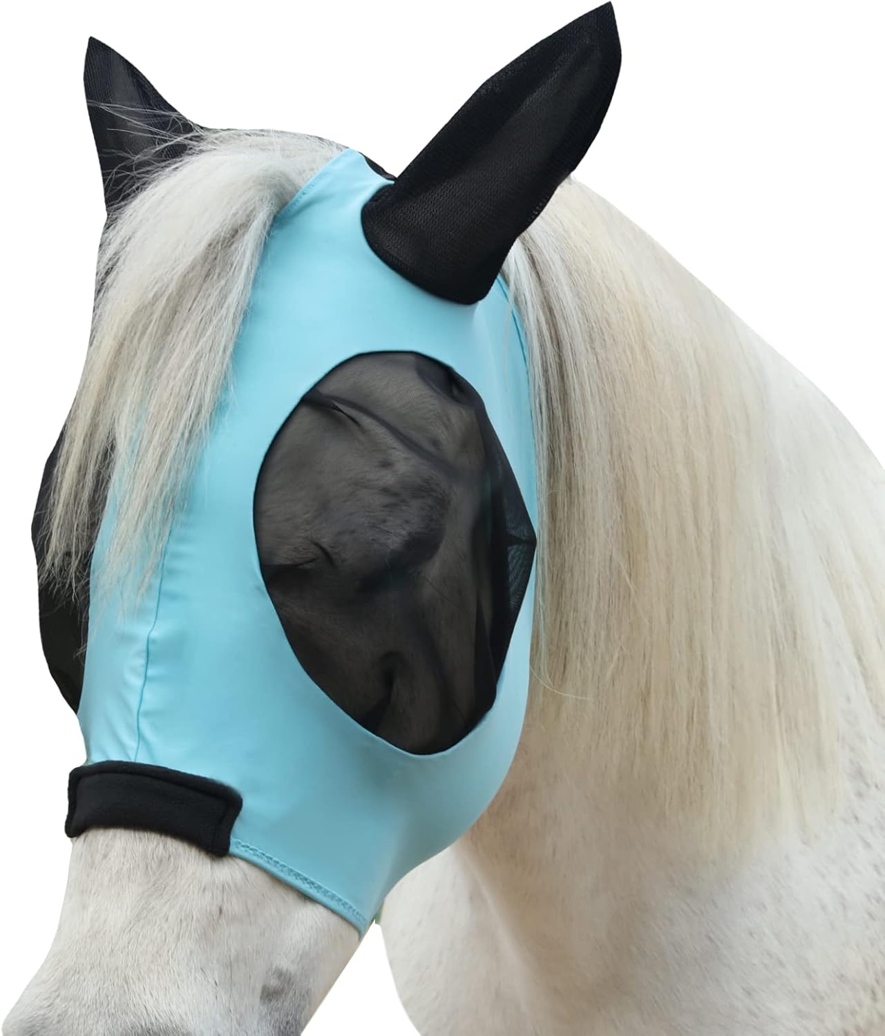 Close up of horse fly mask mesh eye protection