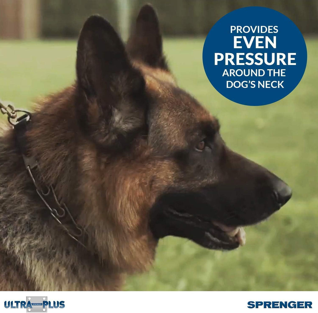 Herm Sprenger steel dog collar rounded prong tips close up