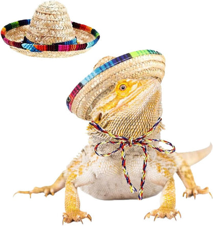 DHinkyoung bearded dragon sombrero hats front view on a small reptile