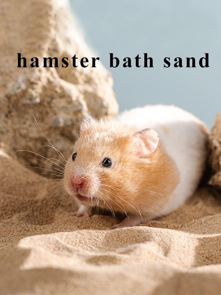 Jfwod dust-free desert sand pouring into a hamster bath tub