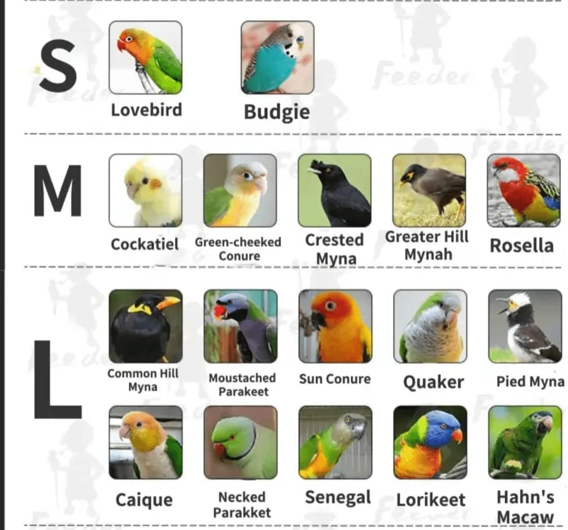 Bird Flight Suits Diapers, Parrot Diapers for Monk Parakeets, Cockatiels, Parrot Clothes Costume, Bird Training Nappy Suit Liners Clothes (Medium,White) - Image 3
