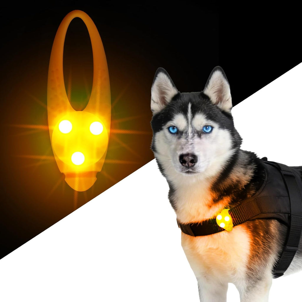 LaRoo LED dog collar light orange front view high visibility pet safety charm