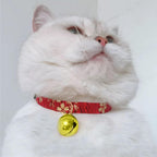 Durable metal ghungroo style hanging bells for medium dogs and small cats