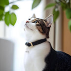 JJUNW rust resistant silver metal pet bells showcasing the secure attachment clip