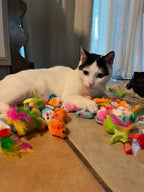 Pack of forty-eight mini synthetic fur mouse toys for cats.