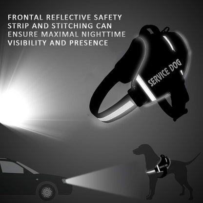 Back view of JSXD dog harness highlighting the control handle