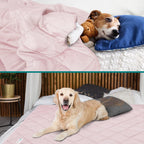 PetAmi Premium Cooling Dog Blanket | Lightweight Fluffy Pet Throw Blanket Bed Cover for Dogs, Cat, Puppies | Pet Blanket Furniture Protector Couch Sofa | Reversible Fuzzy Cozy | 24x32, Light Grey - Image 11