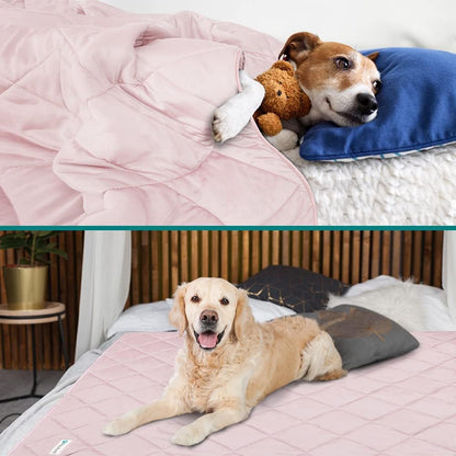 PetAmi Premium Cooling Dog Blanket | Lightweight Fluffy Pet Throw Blanket Bed Cover for Dogs, Cat, Puppies | Pet Blanket Furniture Protector Couch Sofa | Reversible Fuzzy Cozy | 24x32, Light Grey - Image 11