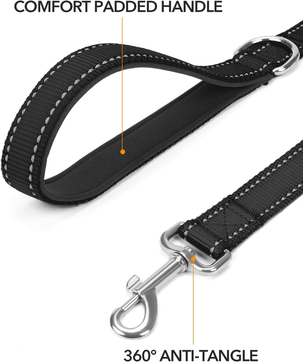 Taglory nylon dog lead close up of soft neoprene padded handle