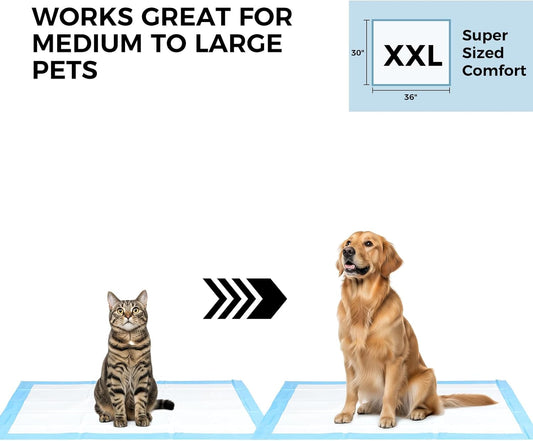 Dogcator disposable puppy training pads thirty by thirty six inches laid flat on an indoor floor.