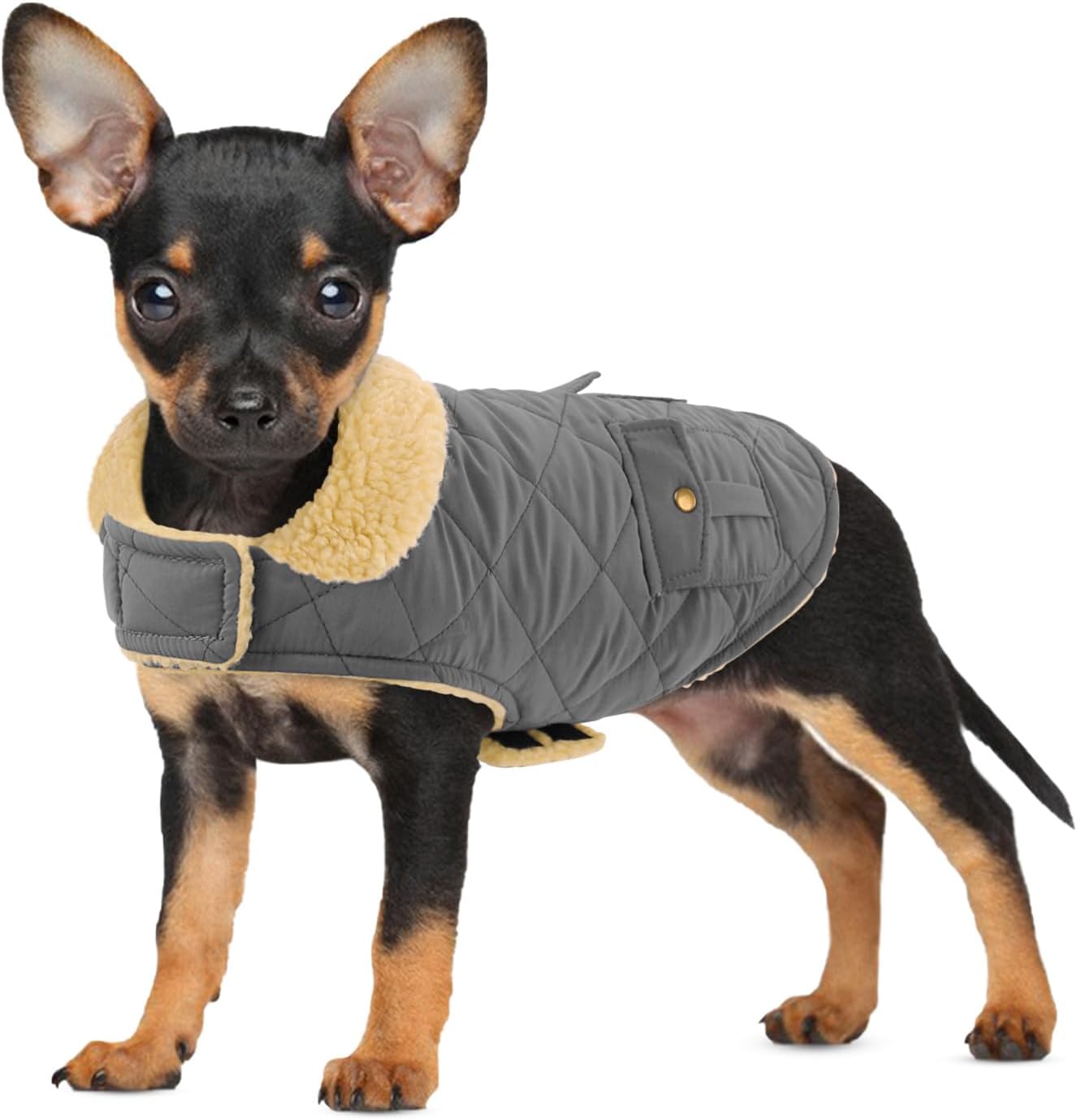 Preferhouse dog winter outfit side profile