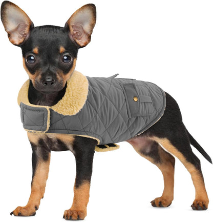 Preferhouse dog winter outfit side profile