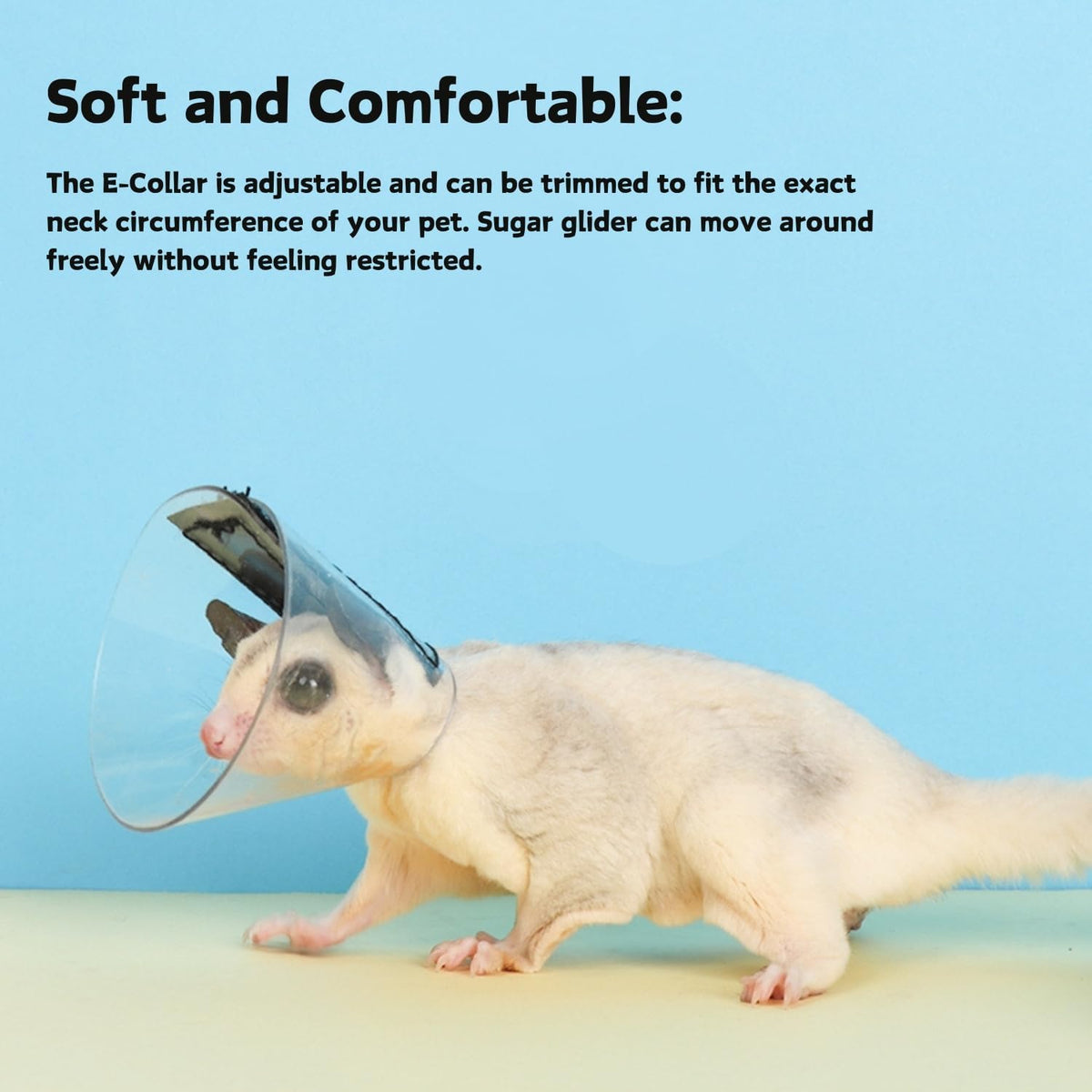 SEZDEKI exotic pet protective neck collar lightweight flexible material demonstration