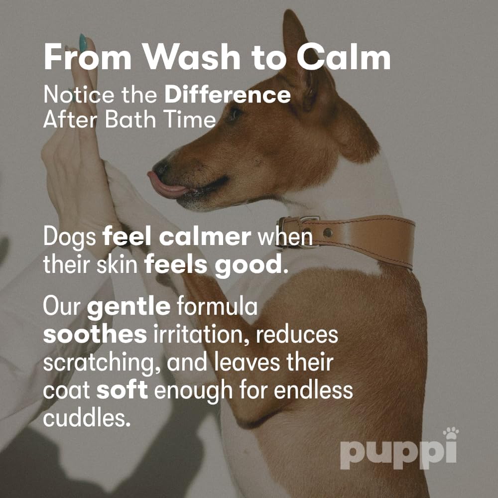 Natural ingredients pet shampoo showcasing amberis citrus and musk scent profile