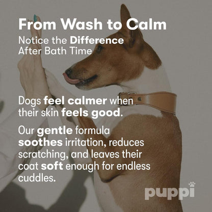 Natural ingredients pet shampoo showcasing amberis citrus and musk scent profile