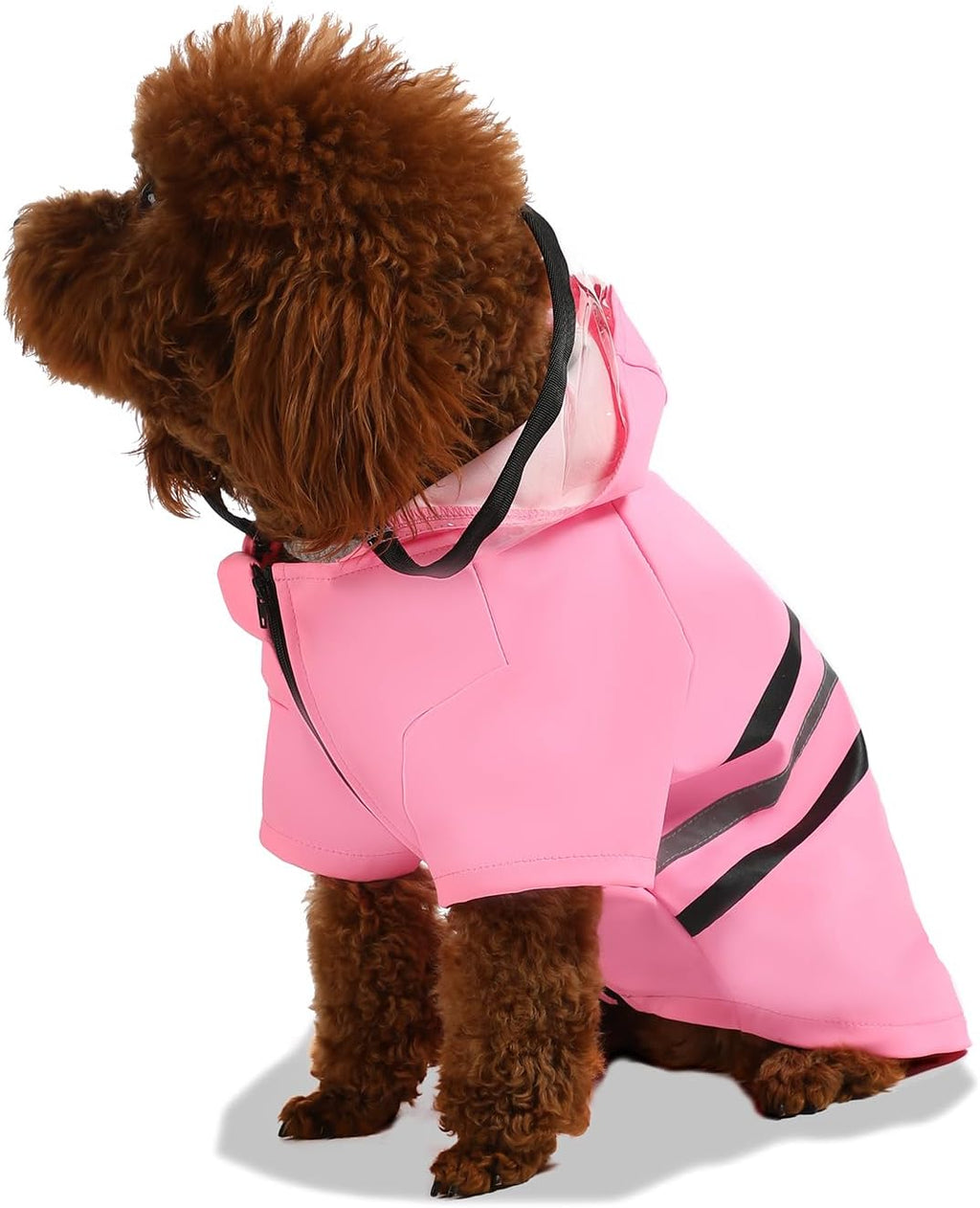 Wizland Dog Raincoat size medium laid flat showing water-resistant outer construction.