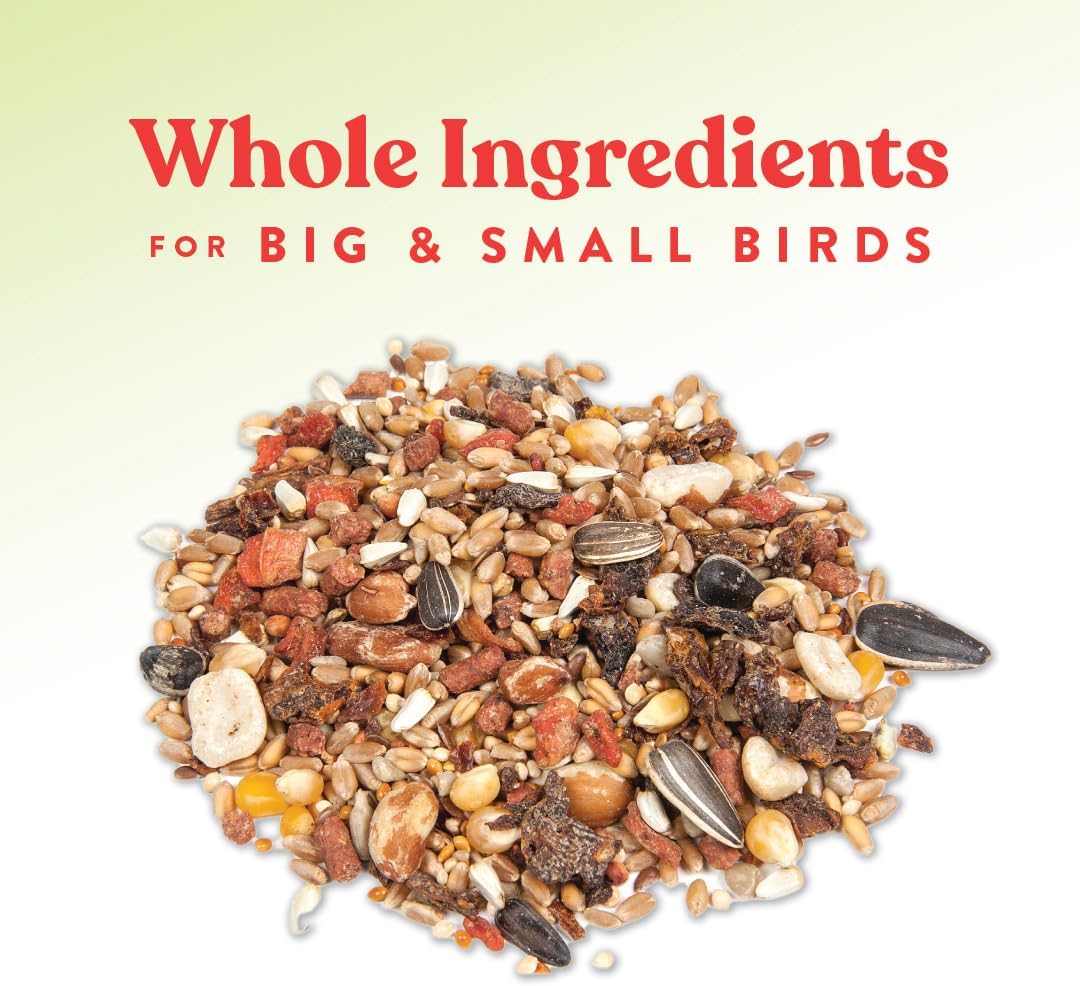 Ingredients label of Manna Pro Harvest Delight poultry snack