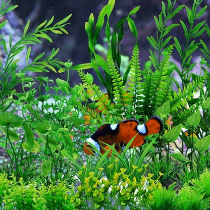 Diverse heights of green foliage aquarium background decor