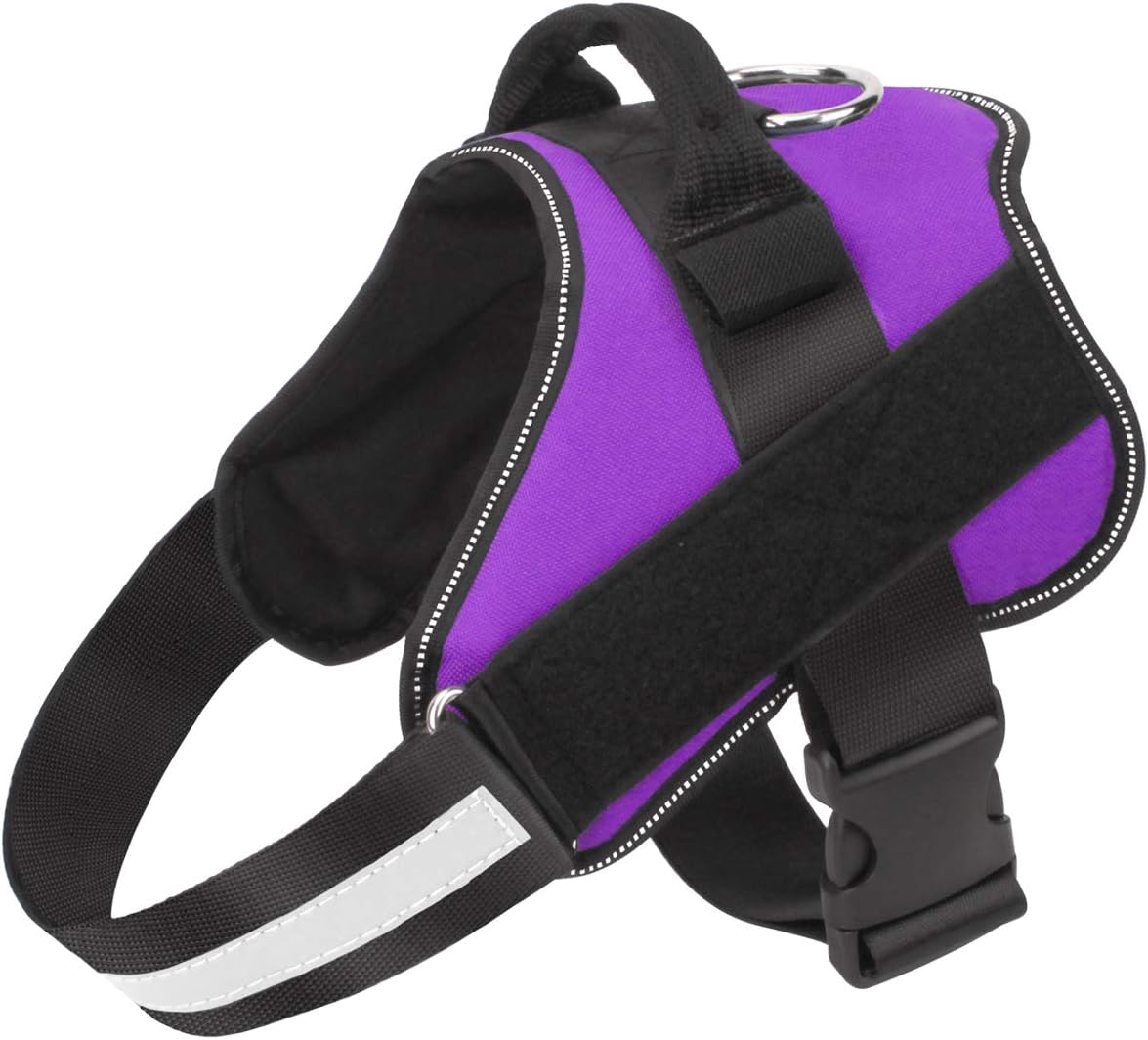 Dog Harness, No-Pull Reflective Dog Vest, Breathable Adjustable Pet Harness with Handle for Outdoor Walking - No More Pulling, Tugging or Choking (Blue, S) - Image 10